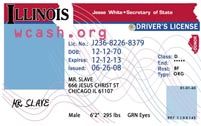 free blank drivers license template